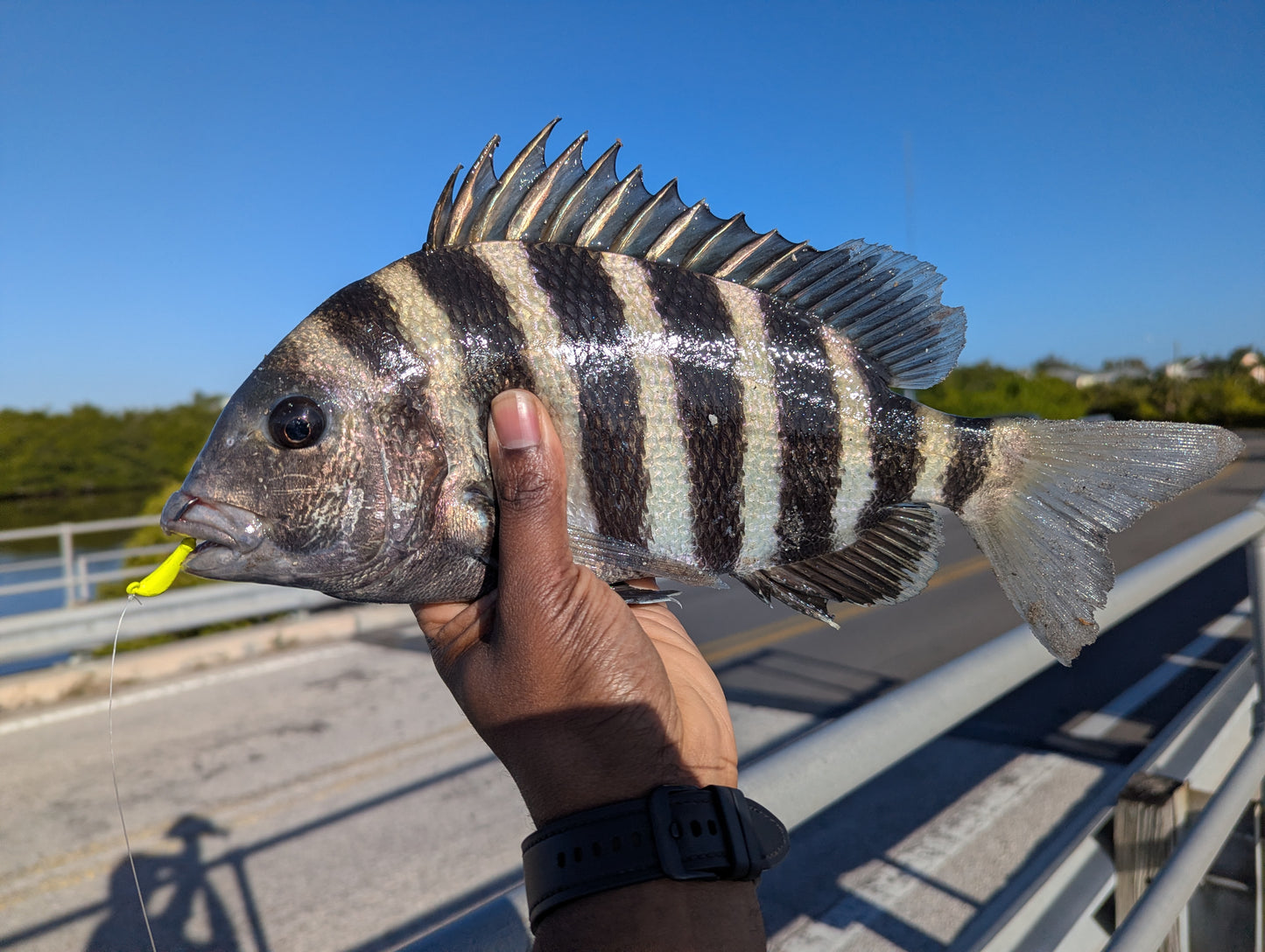 Sheep Slayer Jig (1/8 oz)